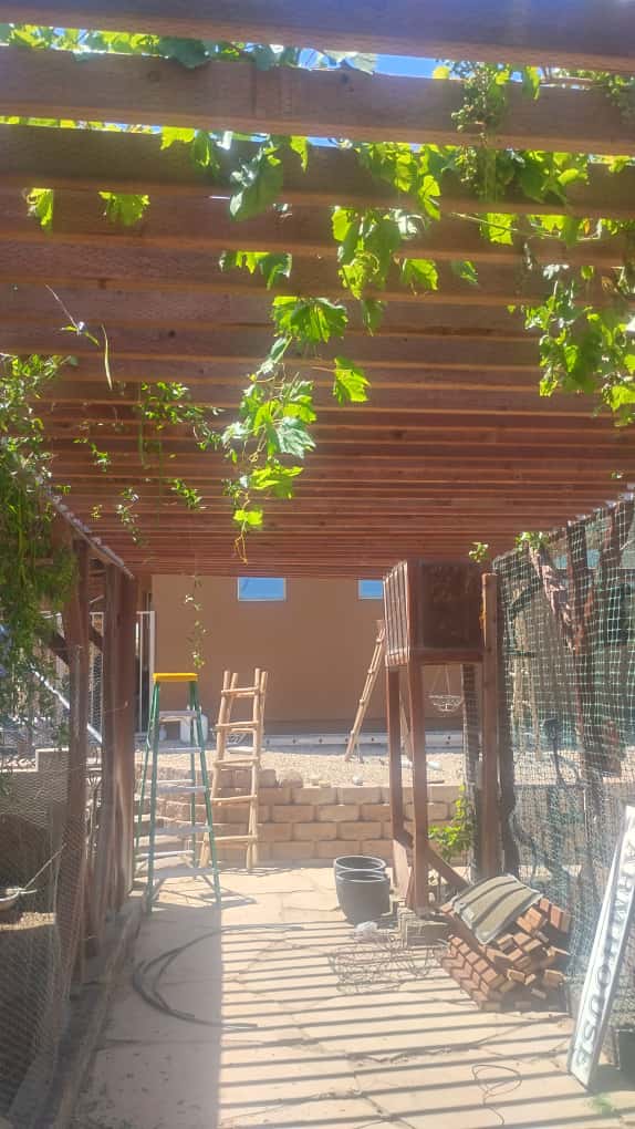 Precision tree removal